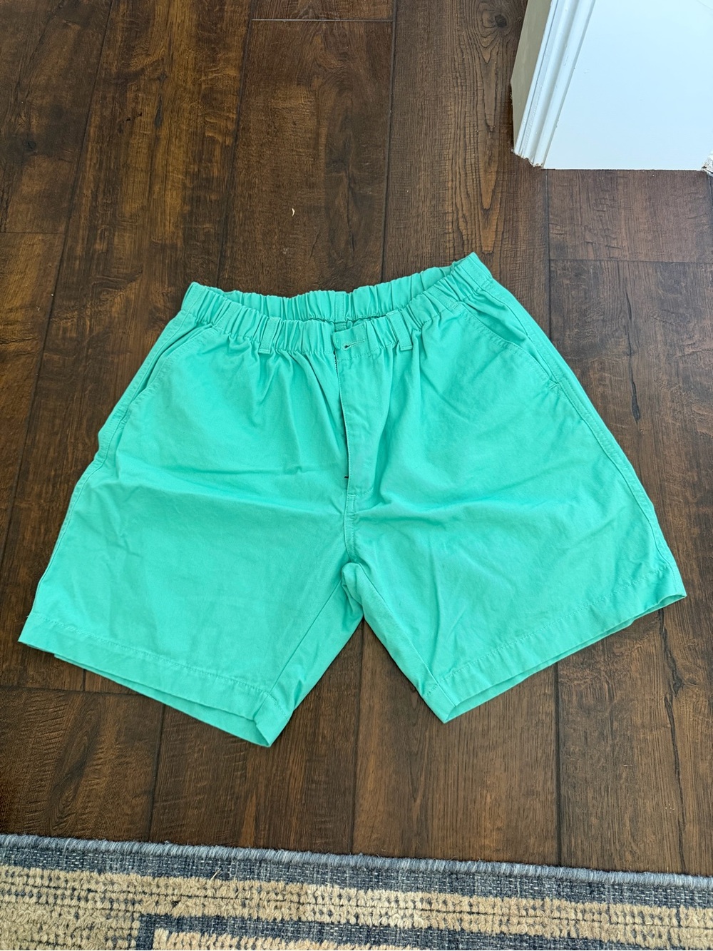 Southern Pines Men’s Medium Bright Teal Shorts